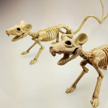 30CM Helovinas Apdailos Gyvūnų Skeletas Hallowmas Namas Šaliai Ornamentu Siaubo Pelės Kaulai Modelis Tikroviška Šalies Prekių